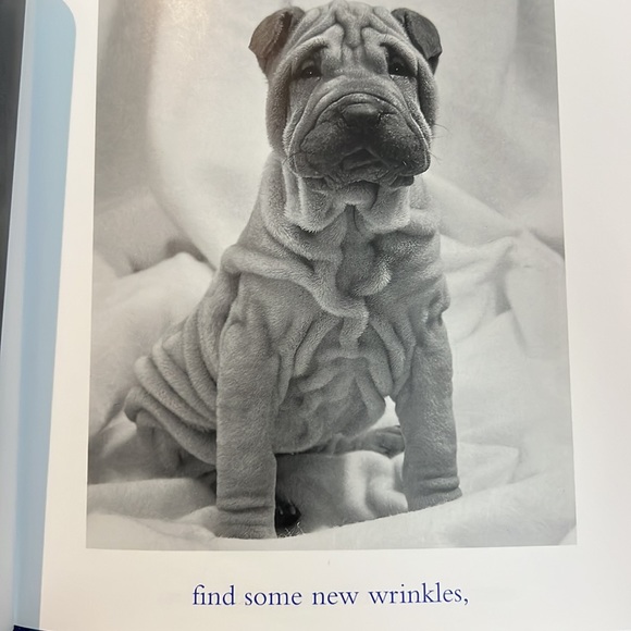 The Blue Day Book: A Lesson In Cheering Yourself Up - Picture 4 of 8